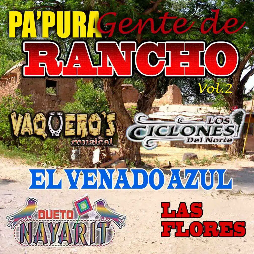 Pa' Pura Gente de Rancho, Vol.2