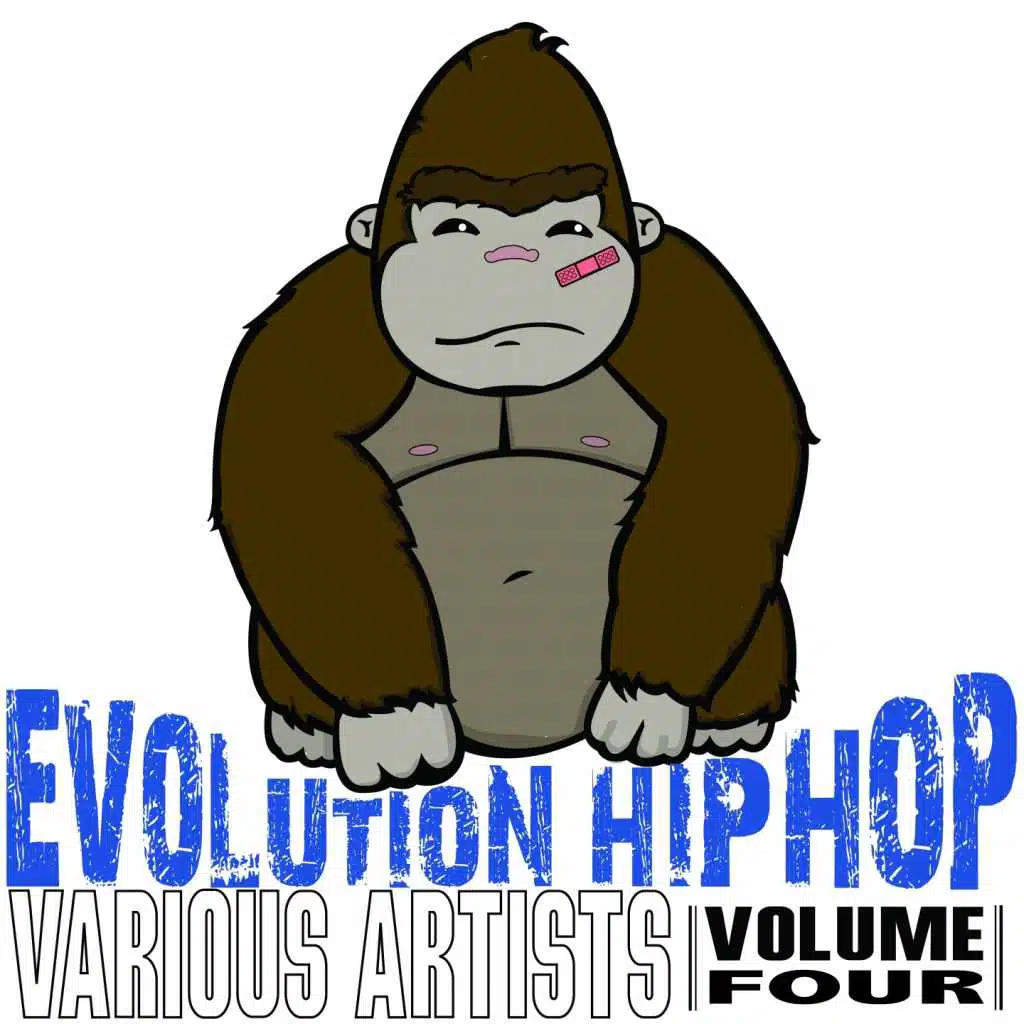 Evolution Of Hip Hop, Vol. 4