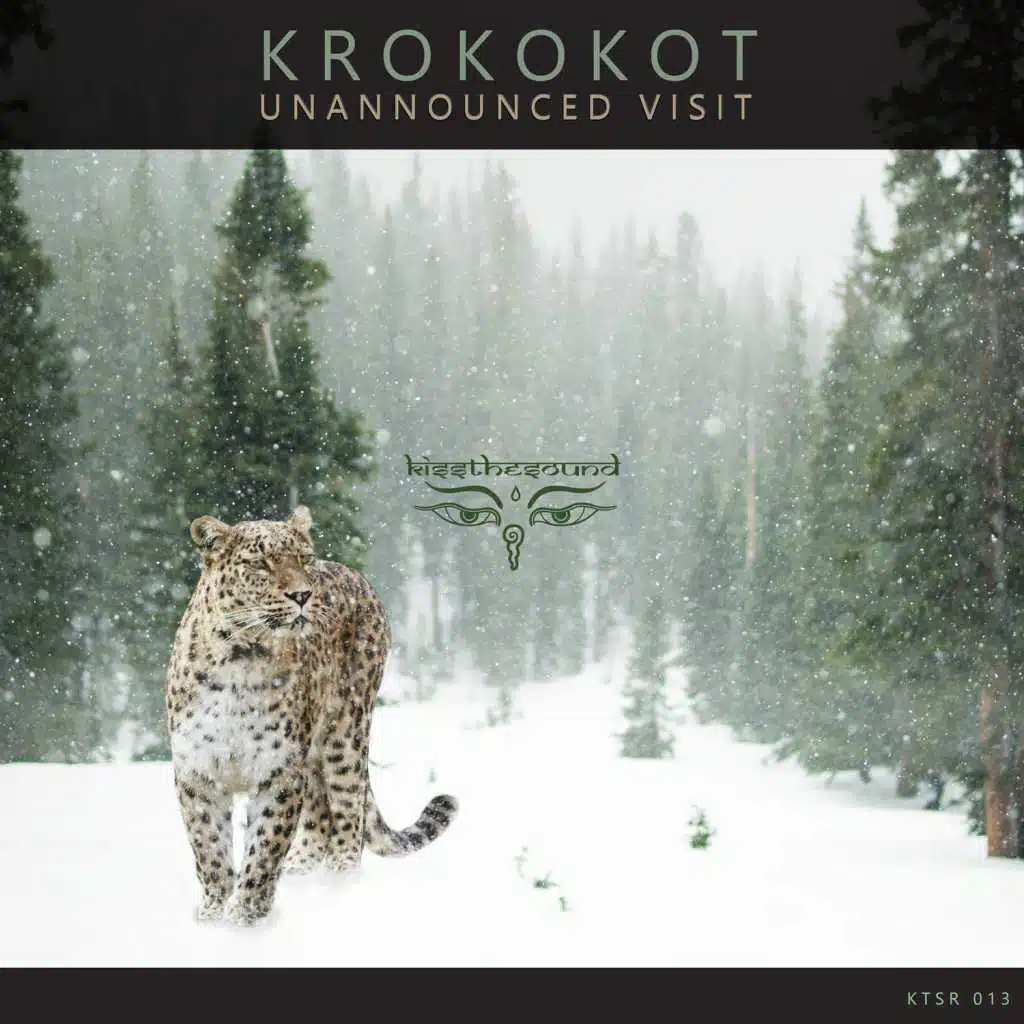 Krokokot