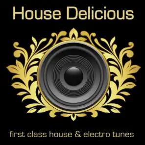 House Delicious 1 (First Class House & Electro Tunes)