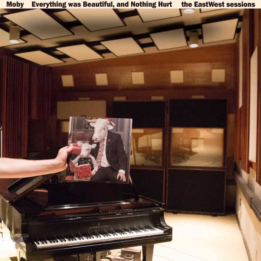 Everything Was Beautiful, and Nothing Hurt (The Eastwest Sessions)