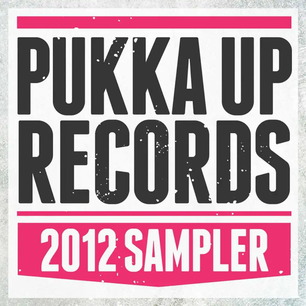 Pukka Up Records (2012 Sampler)