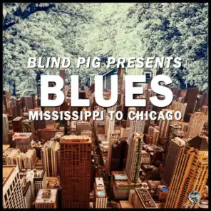 Blind Pig Presents: Mississippi to Chicago Blues