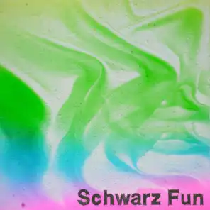 Schwarz Fun (120 Top Songs House Electro Trance Dub Minimal Tech for Your Party and Festival DJ Selection Extended Zone)