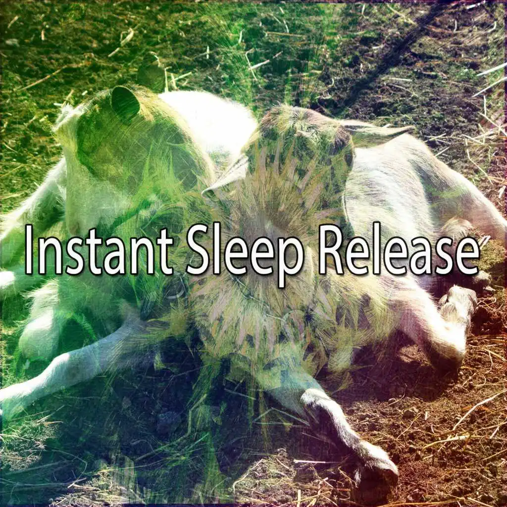 Instant Sleep Release