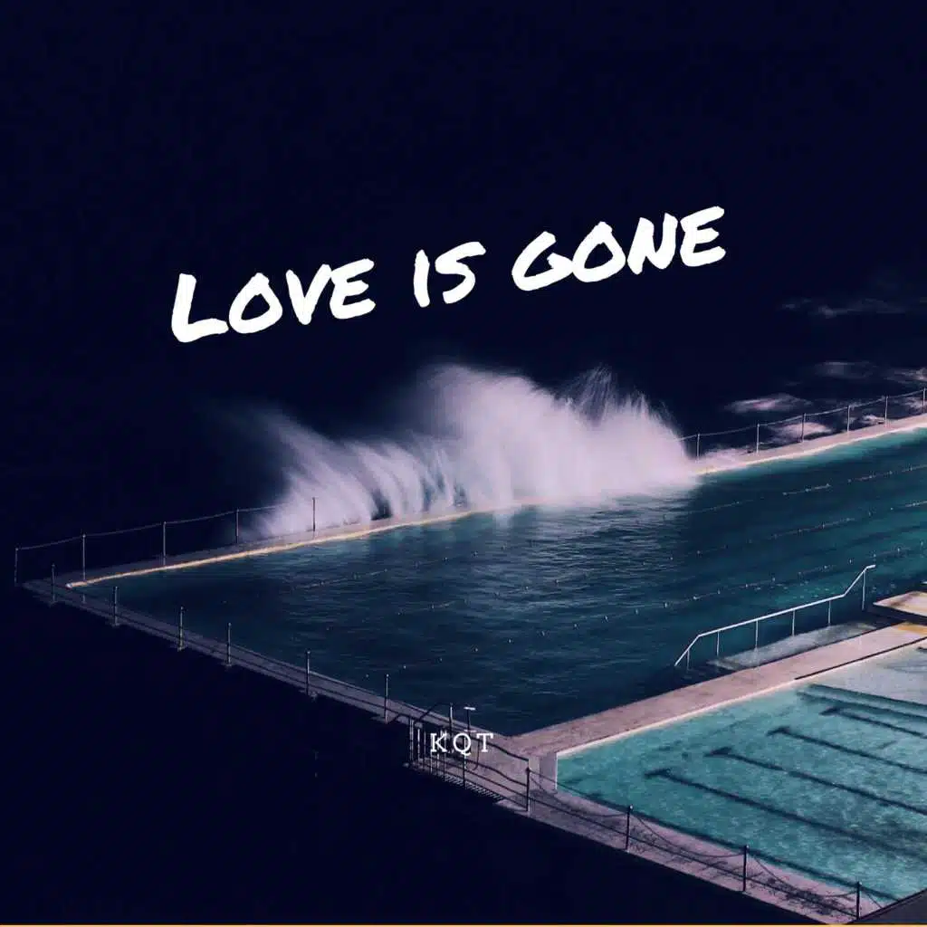 Love Is Gone