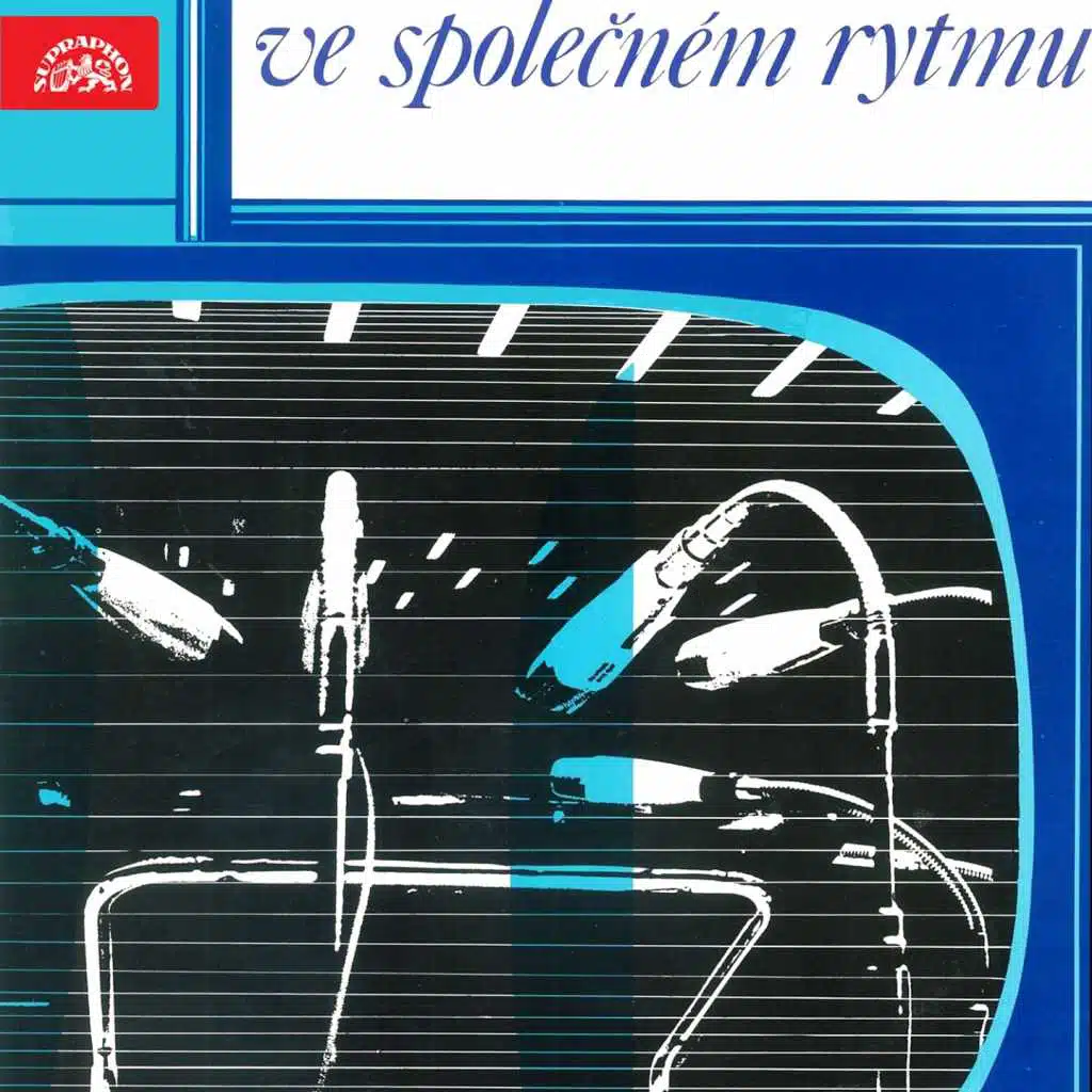 Ve Společném Rytmu