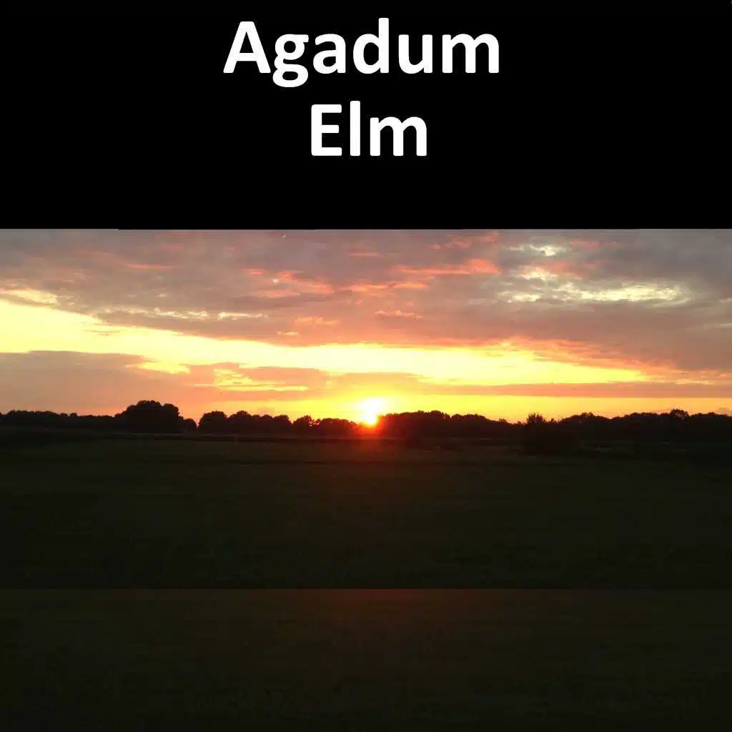 Agadum