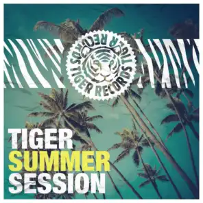 Tiger Summer Session