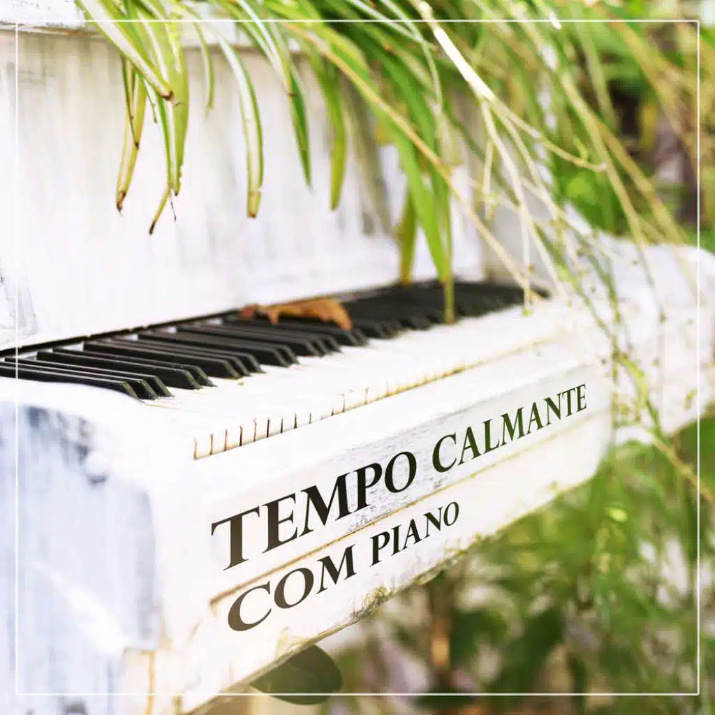 Tempo calmante com piano