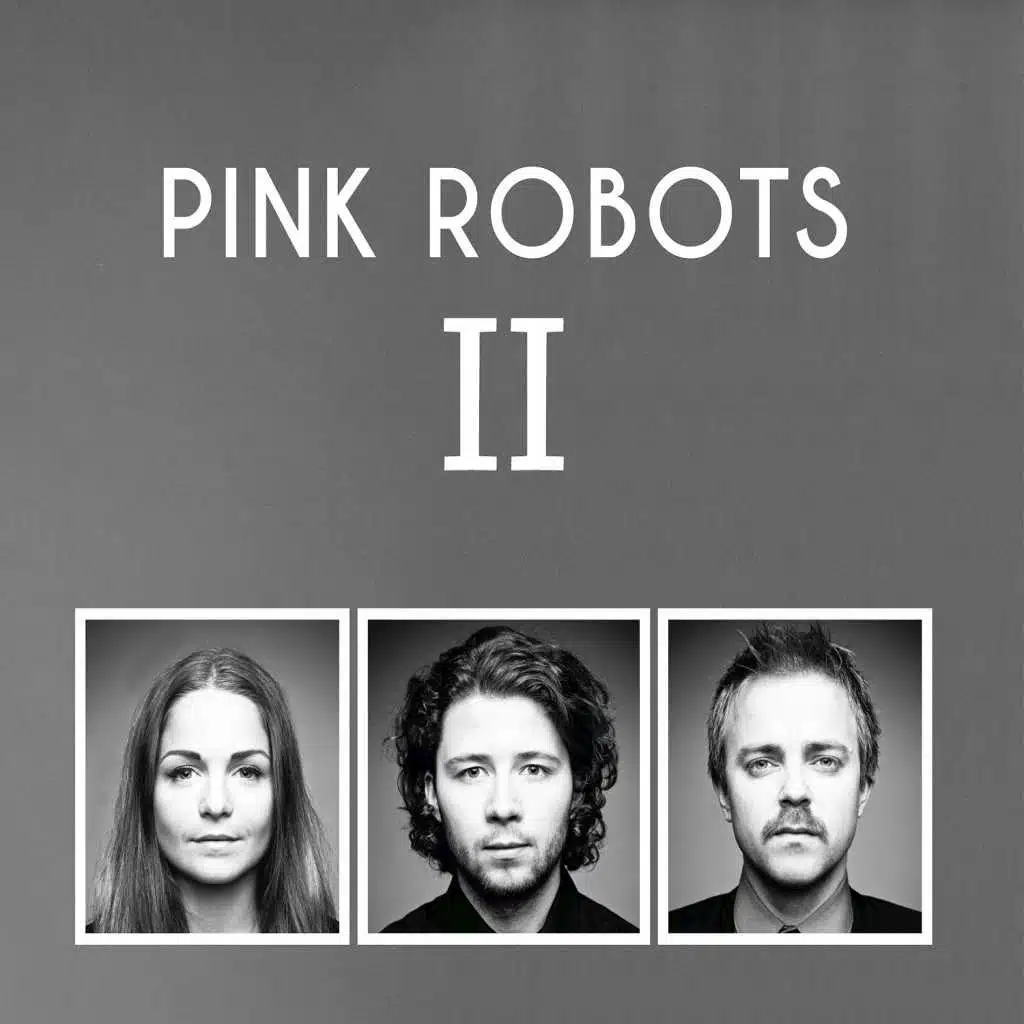 The Pink Robots