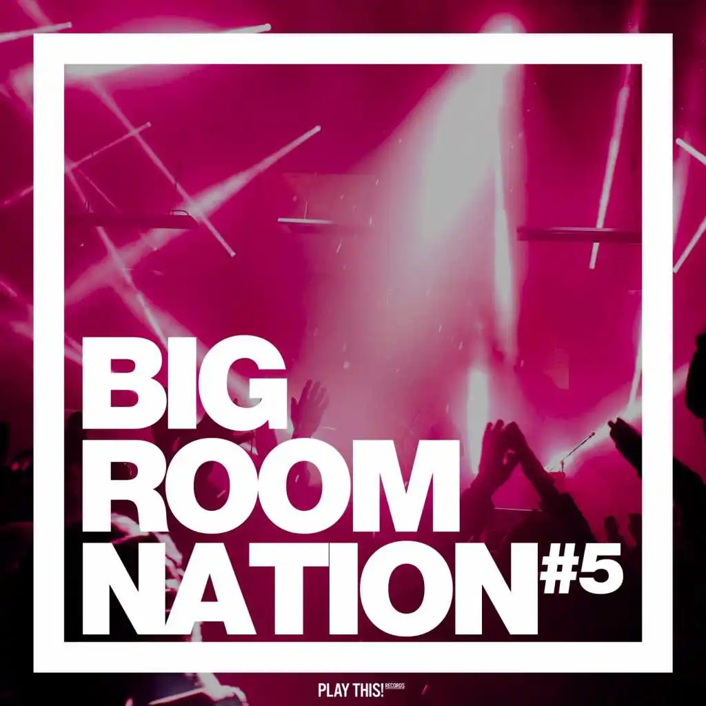 Big Room Nation, Vol. 5