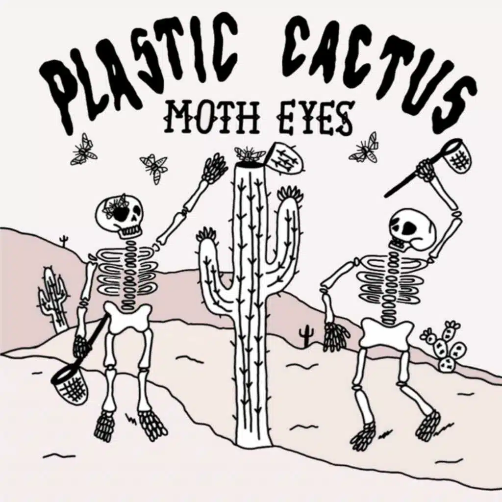 Moth Eyes