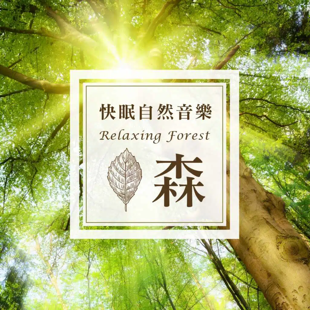 Relaxing Forest