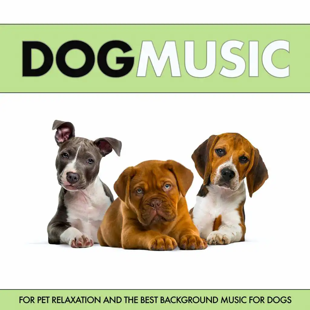 Dog Music For Pet Relaxation and The Best Music For Dogs