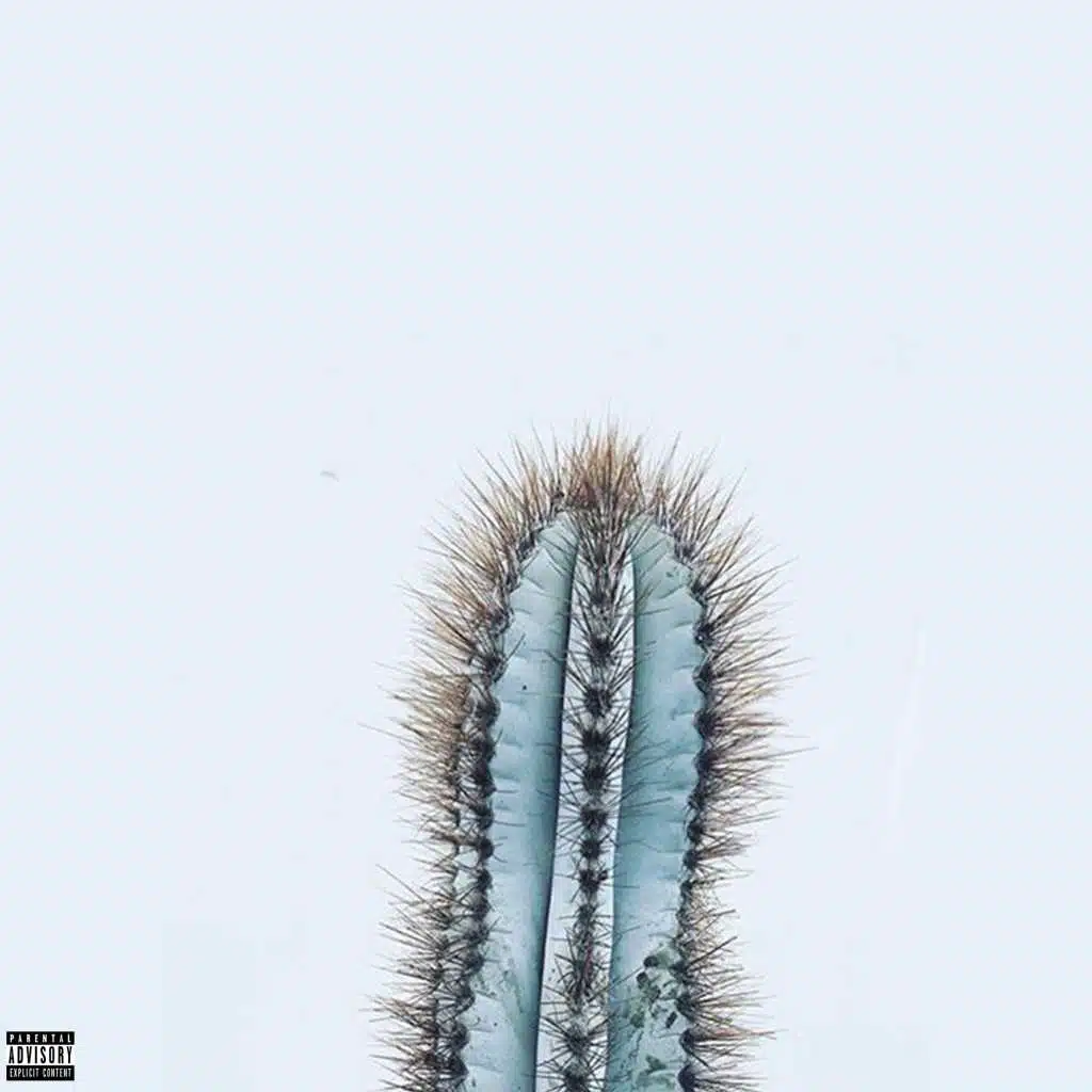 somethingnewbecauseIwanteditthatway