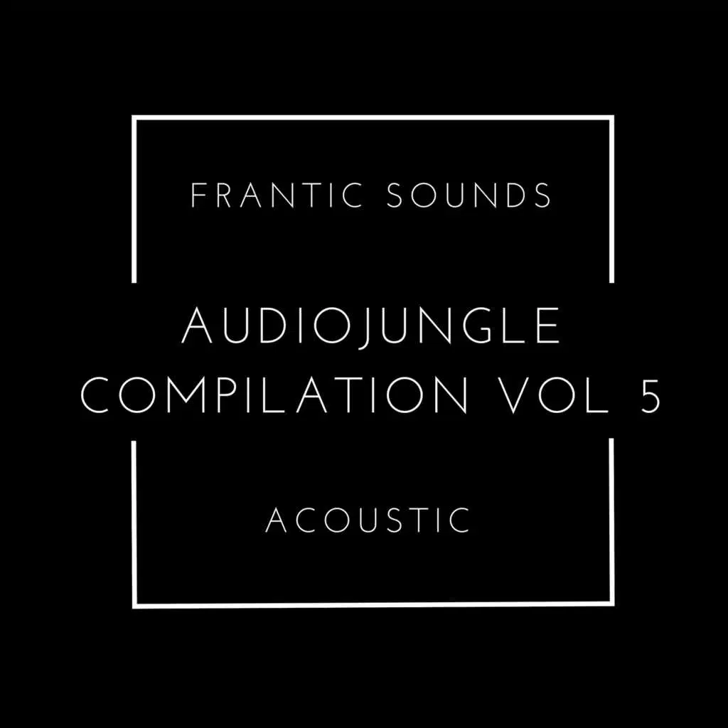 Frantic Sounds Acoustic