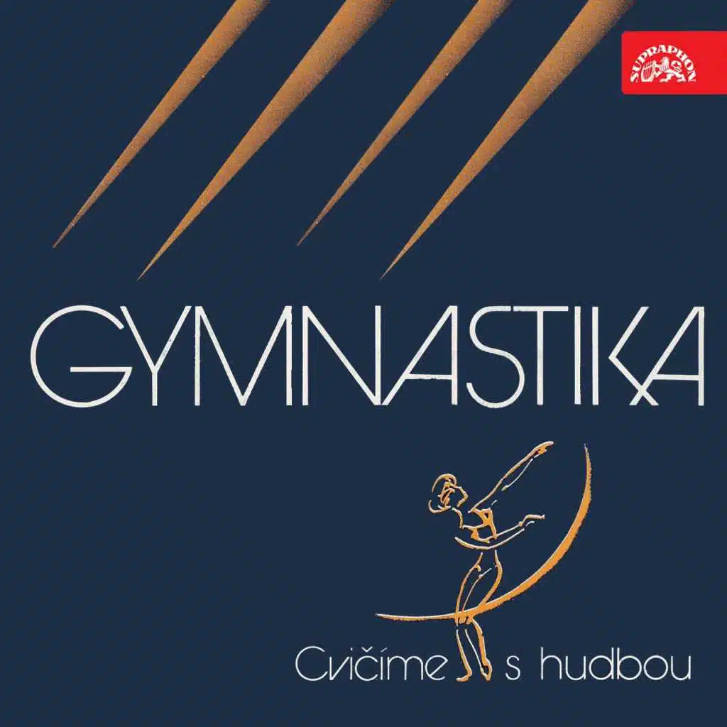 Aleš Sigmund, Skupina Aleše Sigmunda