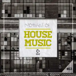 Motives of House Music, Vol. 13