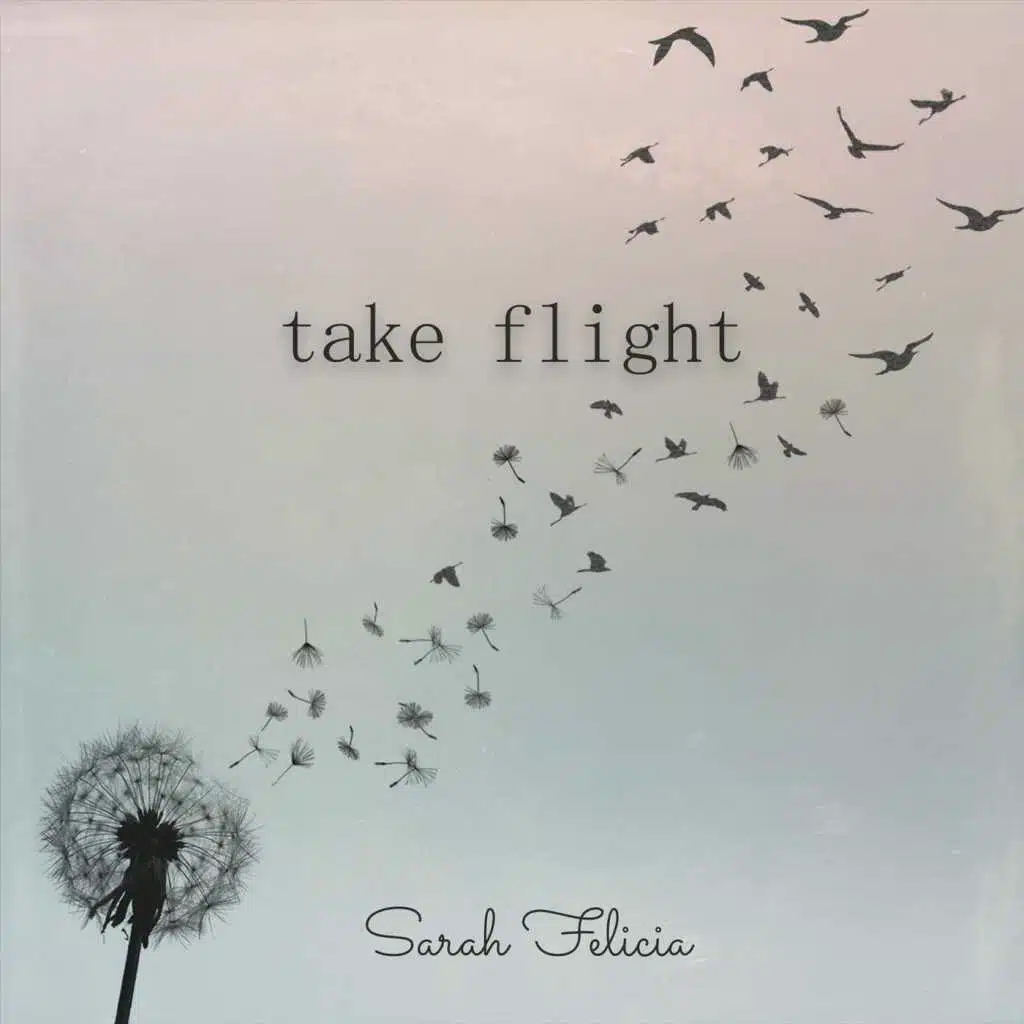 Take Flight