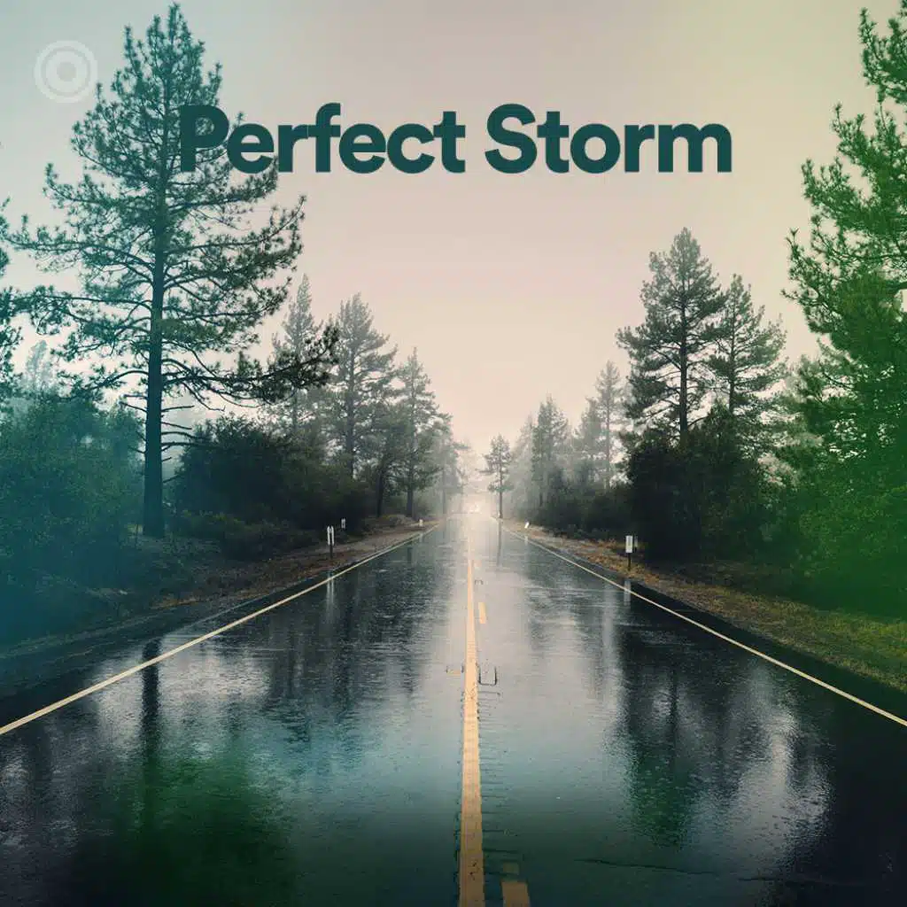 Perfect Storm