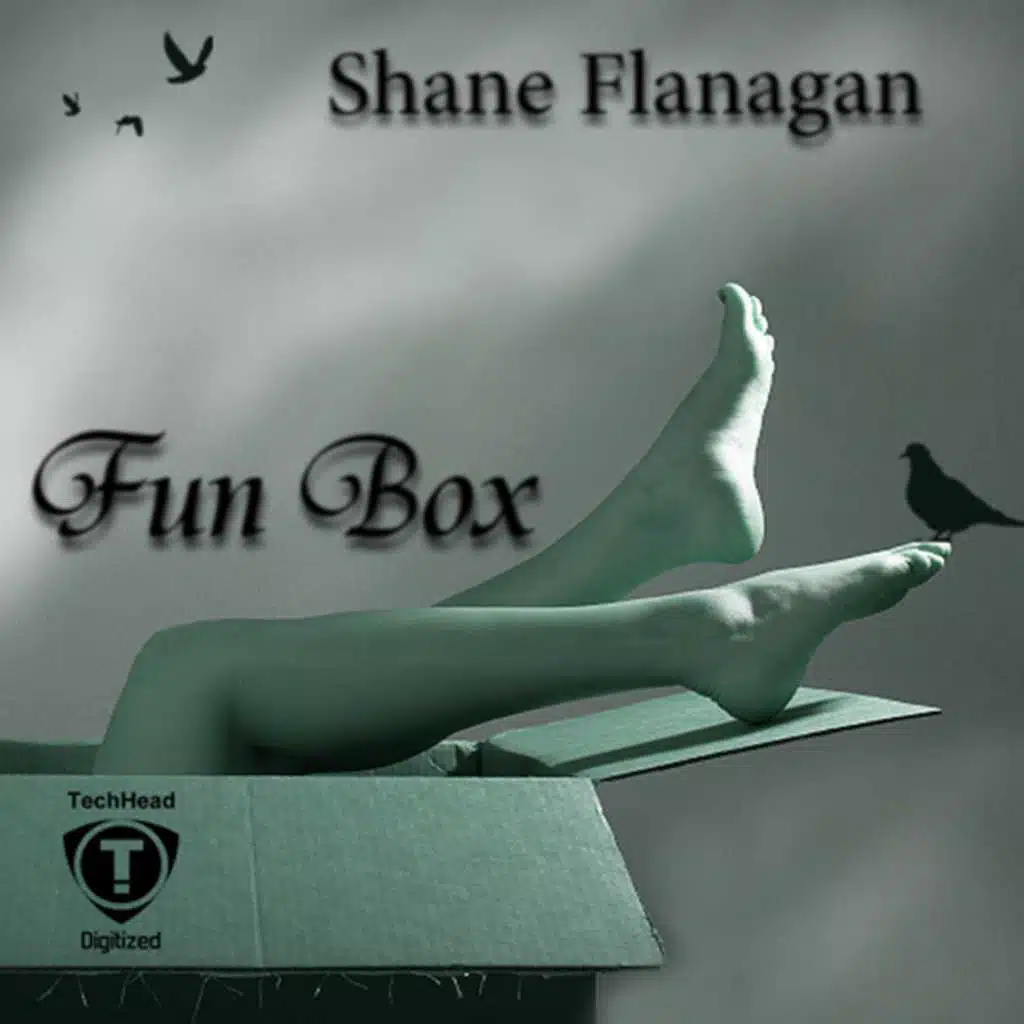 Shane Flanagan