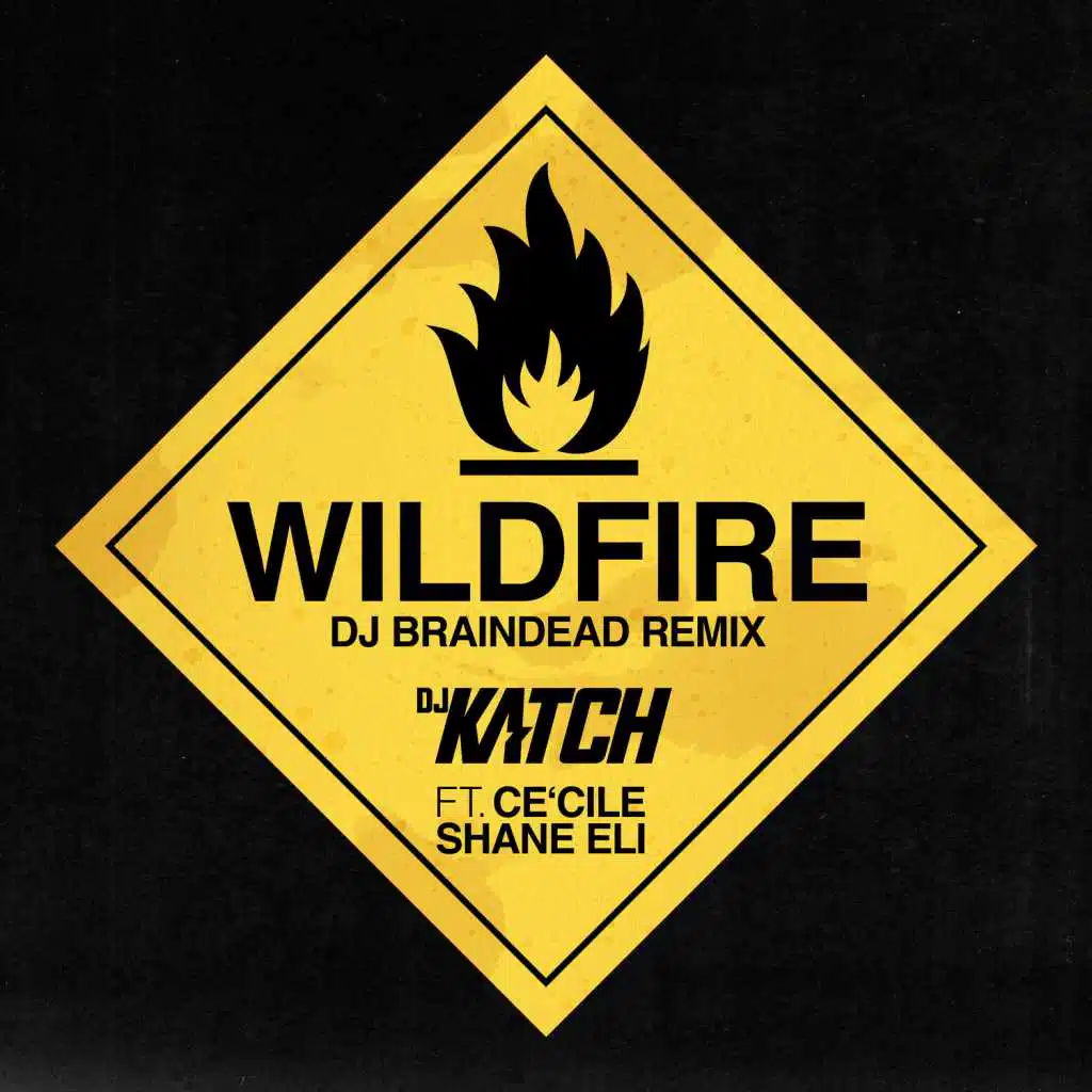 Wildfire (DJ Braindead Remix) [feat. Ce'Cile & Shane Eli]