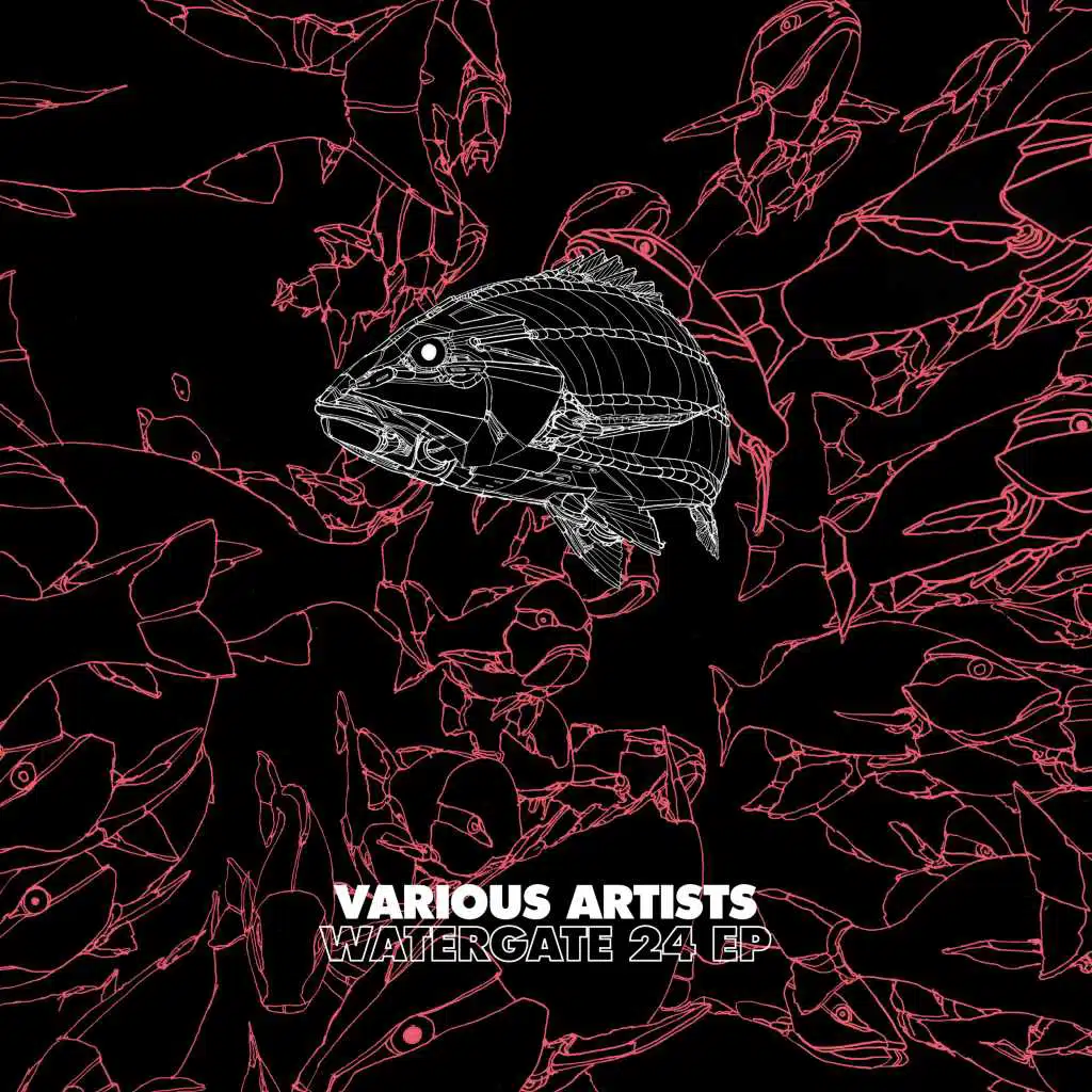 Watergate 24 EP
