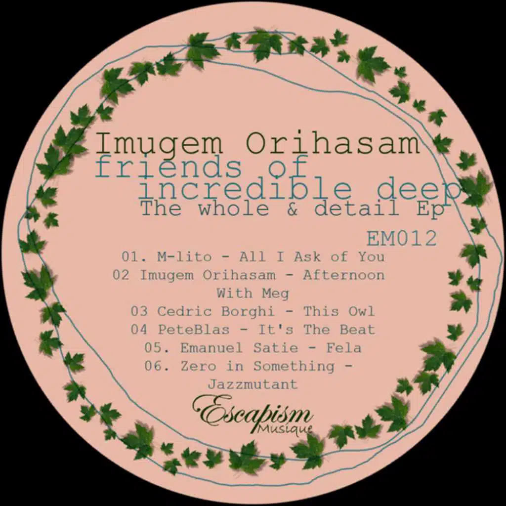 Friends of Incredible Deep - The Whole & Detail EP