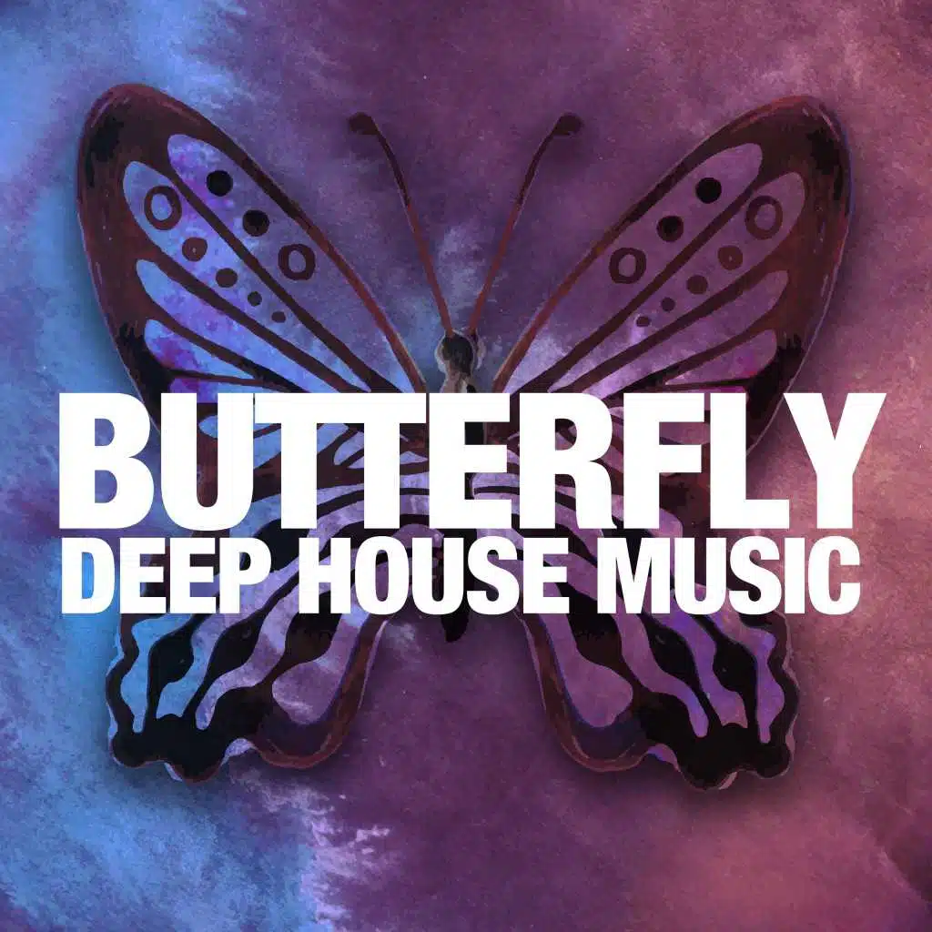 Butterfly Deep House Music