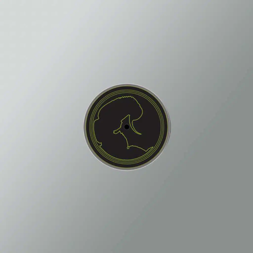 Cryptic (Phace Remix)