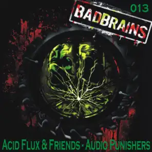 Acid Flux & Friends - Audio Punishers