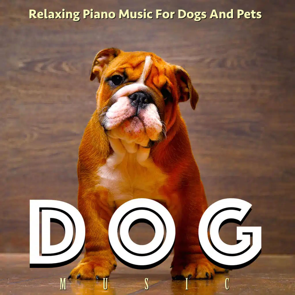 Dog Music:  Relaxing Piano Music for Dogs and Pets