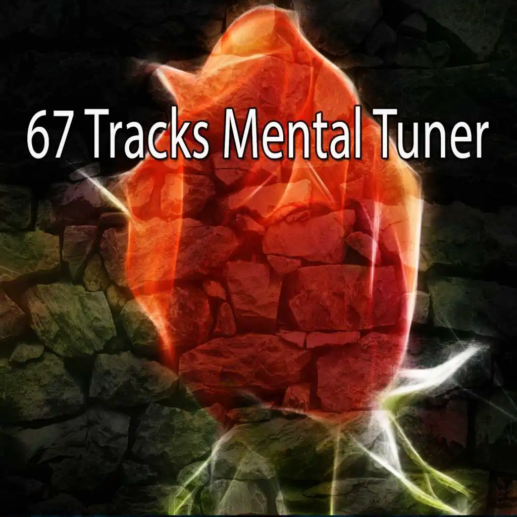 67 Tracks Mental Tuner