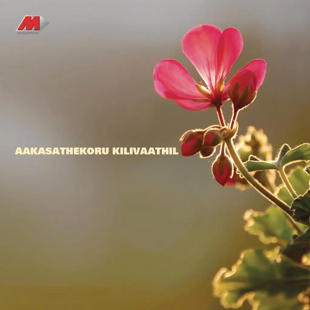 Aakasathekoru Kilivaathil (Original Motion Picture Soundtrack)