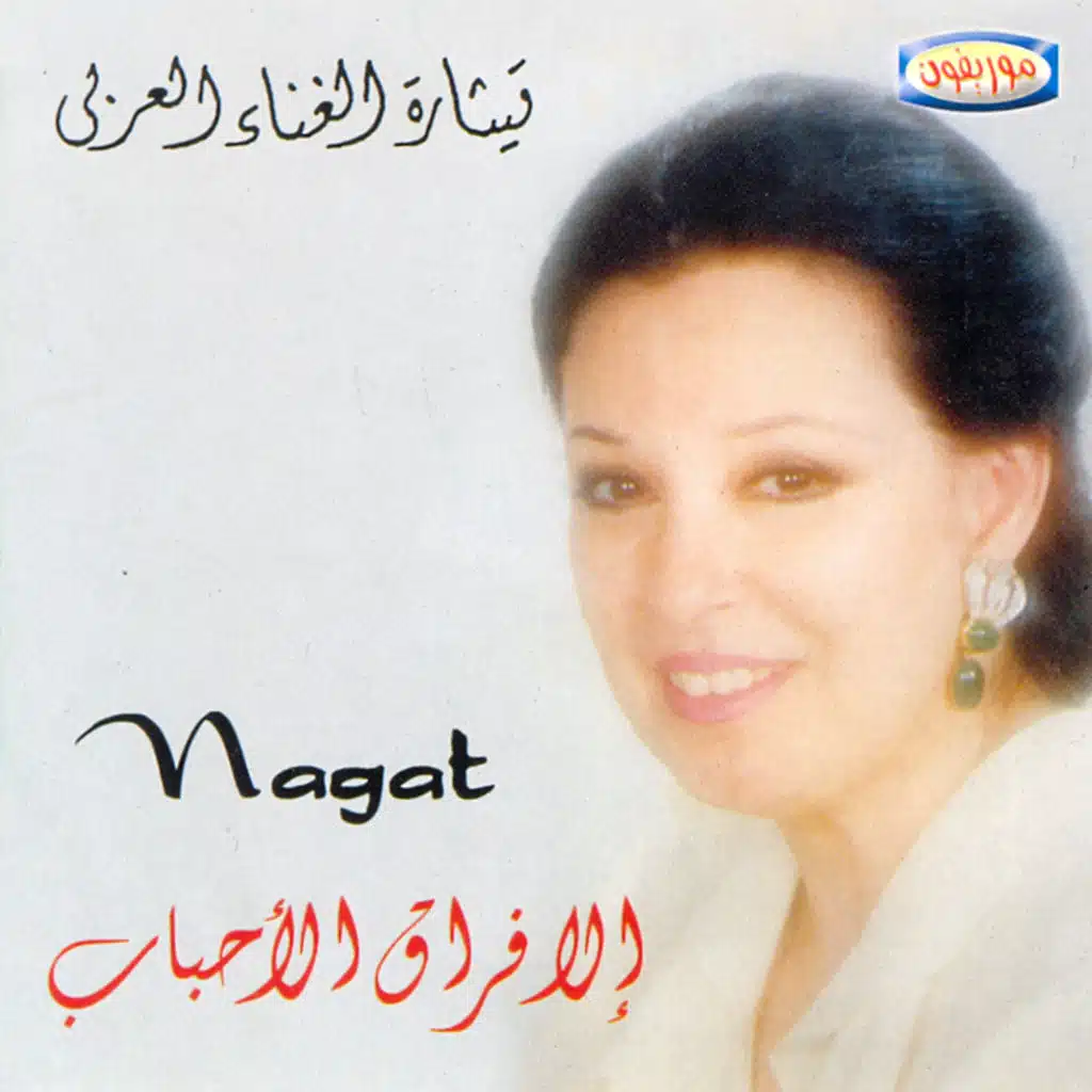 كل فين وفين