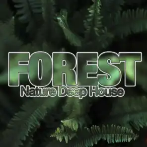 Forest, Nature Deep House