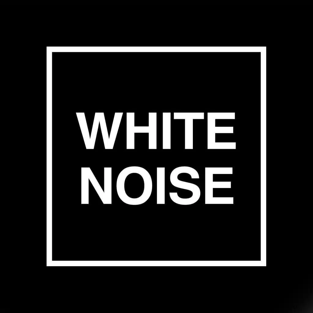 White Noise: Best of White Noise Collectors and Friends