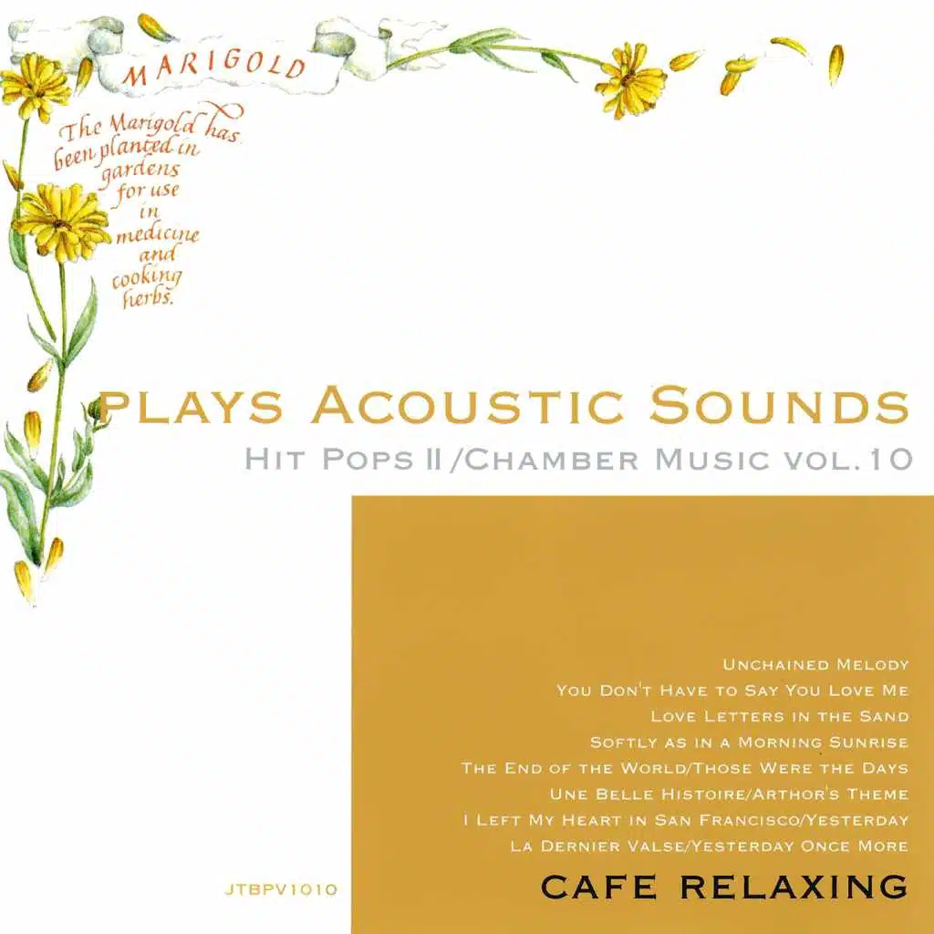 Plays Acoustic Sounds: Hit Pops II, Chamber Music, Vol. 10