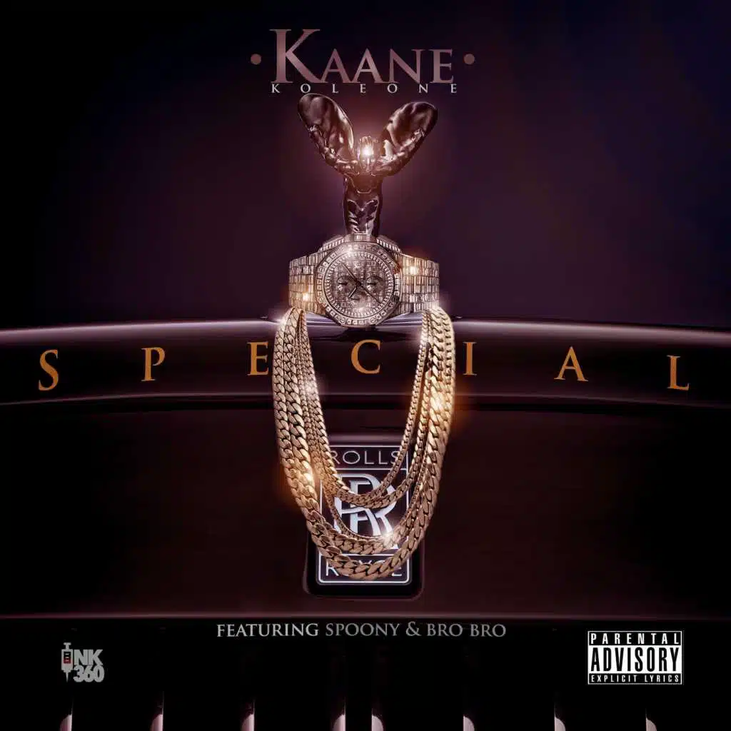 Special (feat. Spoony & Bro Bro)