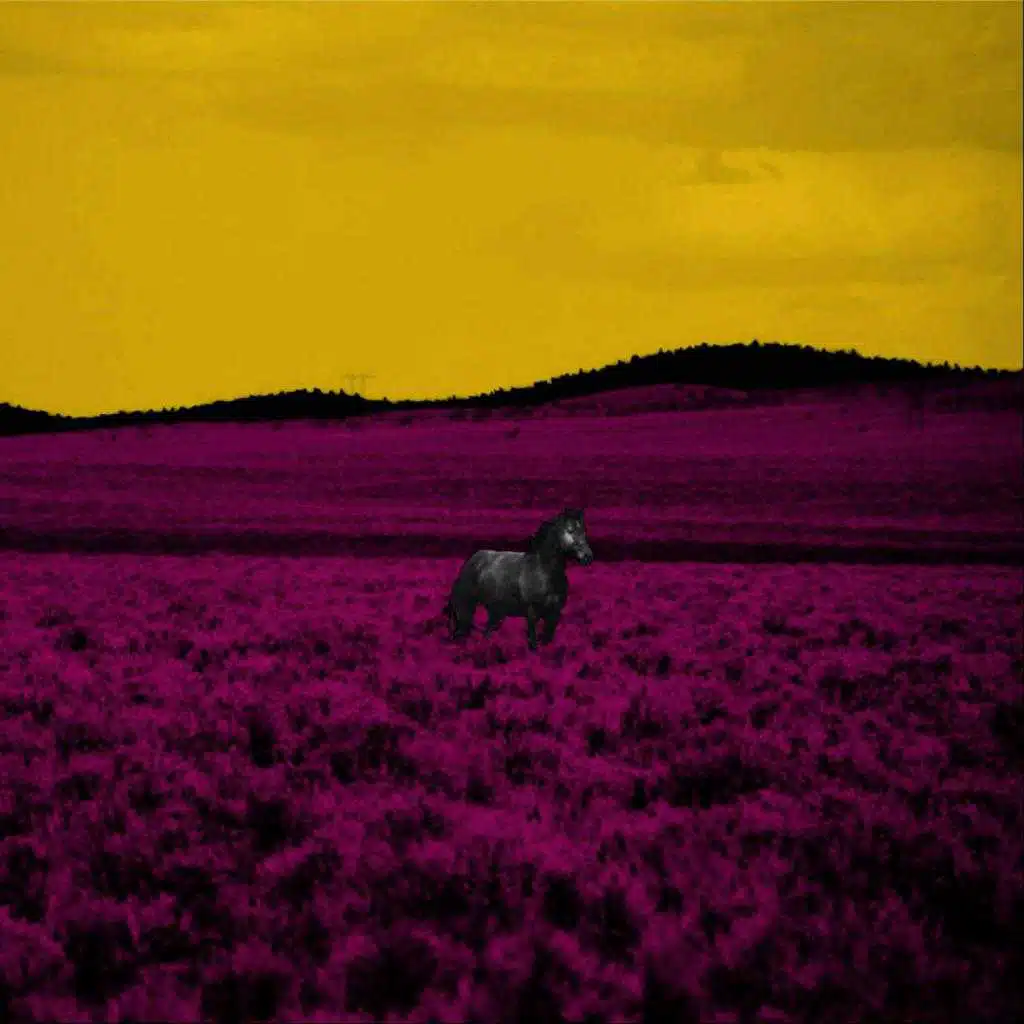 Hasta el último segundo (Oi! style) ((Remaster 2018))