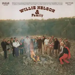Willie Nelson And Family (2013)