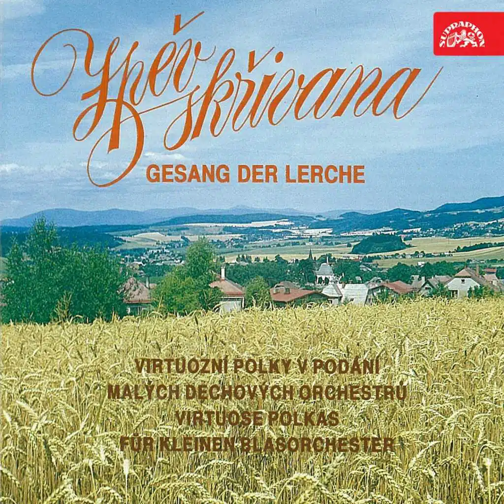 Josef Charvát, Česká muzika