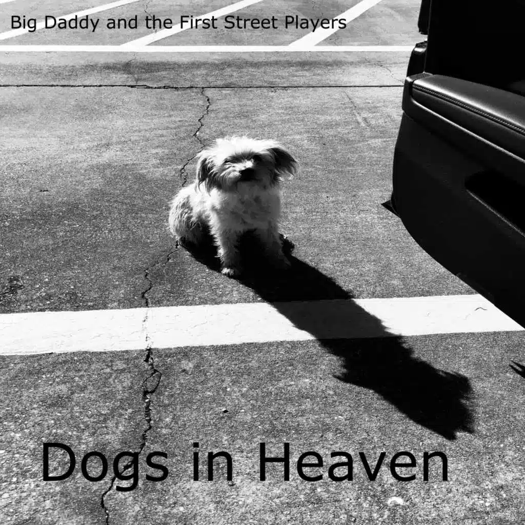 Dogs in Heaven