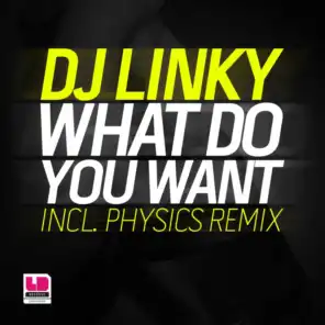 What Do You Want From Me (Physics Remix)