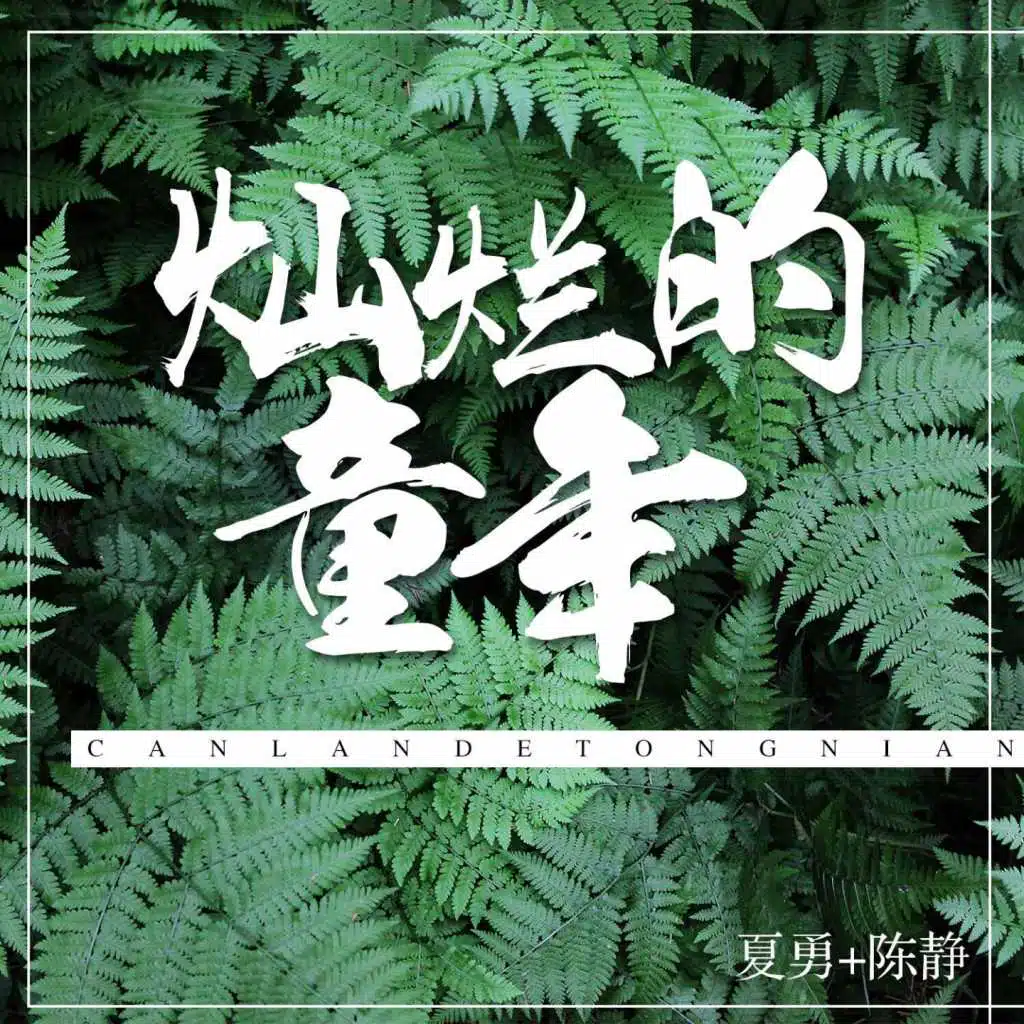 夏勇, 陈静