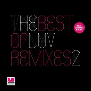 The Best Of LuvDisaster Vol. 2 incl. Remixes & VIPs