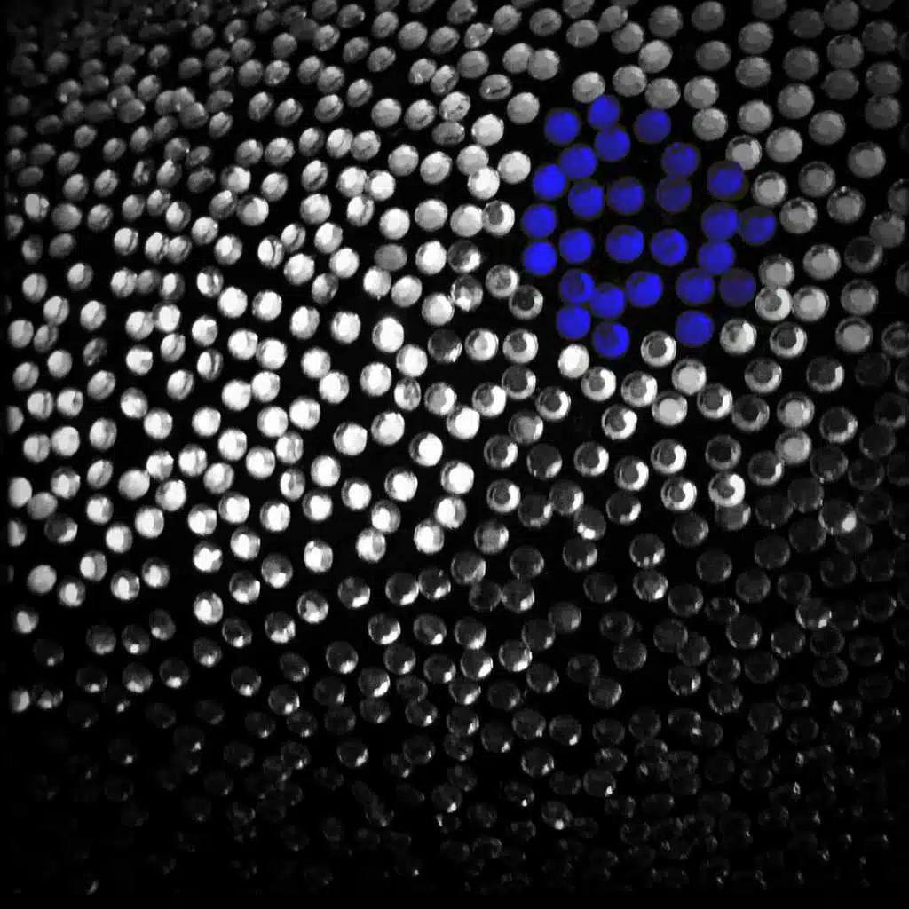 Extended Family Volume 5