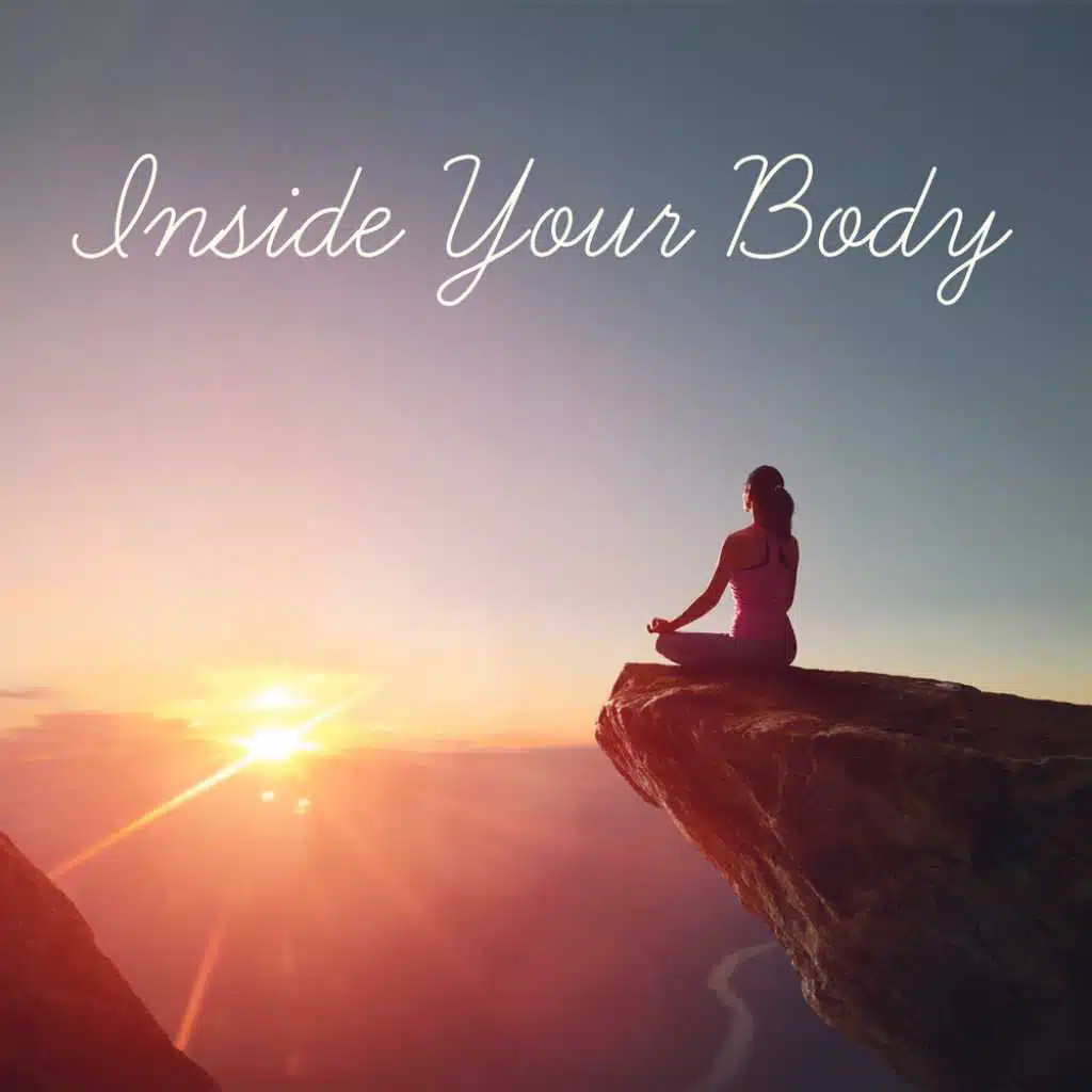 Inside Your Body