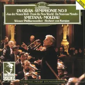 Dvořák: Symphony No. 9 in E Minor, Op. 95, B. 178 "From the New World": I. Adagio - Allegro molto